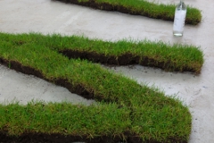 Ausschnitt aus dem Buchstaben MAMA, die aus Gras mit Erde bestehen